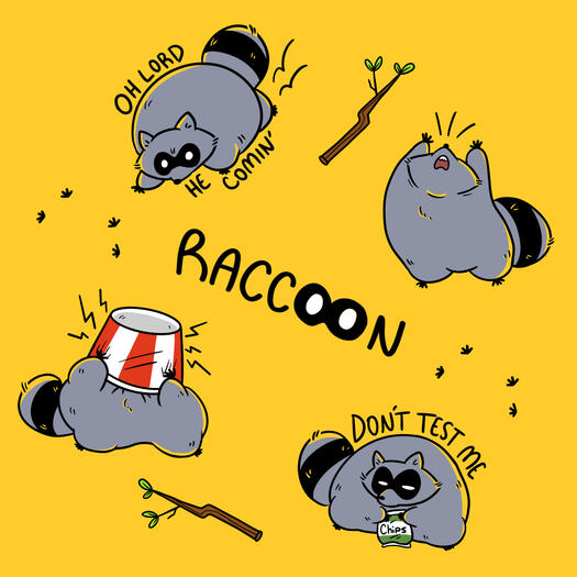 Raccoon Shenanigans